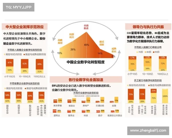 获得数字力TOP30对企业创新与竞争力提升的深远影响分析
